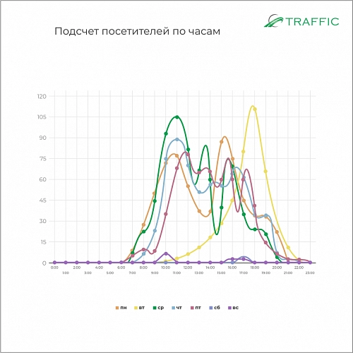 Счетчик посетителей TRAFFIC 1D mini купить в интернет-магазине ООО «НТК Приборэнерго»