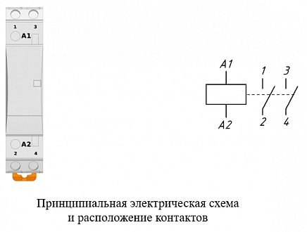 Контактор модульный MC023CG купить в интернет-магазине ООО «НТК Приборэнерго»